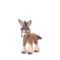 Mudbray