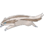 0264Linoone.png