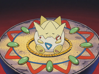 Misty's Togepi