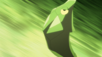 Red's Metapod