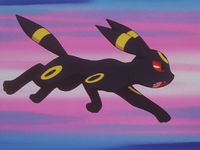 Tamao's Umbreon