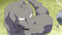 Grant's Onix