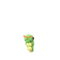 Caterpie