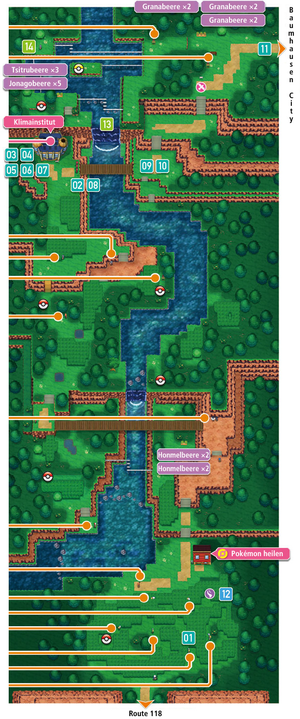 Hoenn Route 119 ORAS.png