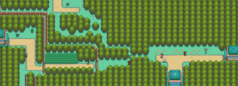 Johto Route 36 HGSS.png