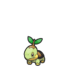 Turtwig