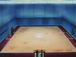 250px-Vermilion_Gym_Battlefield.png