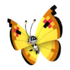 Vivillon