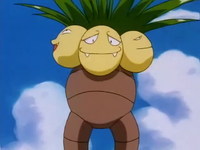 Rudy's Exeggutor