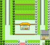Kanto Route 5 GSC.png