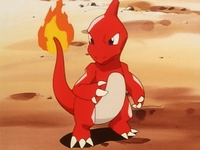 Mateo's Charmeleon