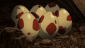 Larvesta Eggs in the anime