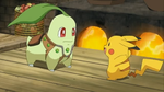 Damos Chikorita.png