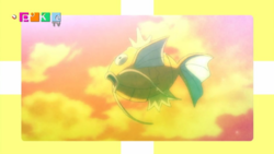 PokéTV XY117.png