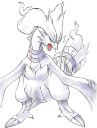 Black's Reshiram