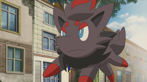 Zorua M13.png