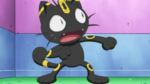 Meowth Umbreon.png