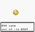 Glitch egg, which accounts for the hexadecimal slot 253 in the Gold/Silver versions