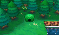 Secret Spot Route 119 5.png