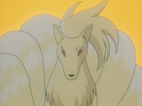 Zane's Ninetales