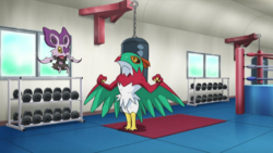 PokéTV extra scene XY104.png