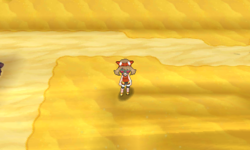 Sandstorm VI Field.png