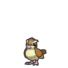 Pidgey