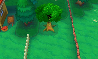 Secret Spot Route 123 3.png