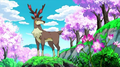 Spring Form Sawsbuck in the anime