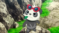 Serena's Pancham