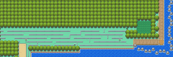 Kanto Route 13 HGSS.png