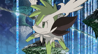 200px-Shaymin_Sky_Forme_toxic_petals.png