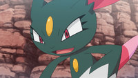 Team Flare's Sneasel