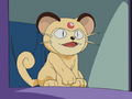 Meowth dressed as a Persian