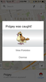 Catching a Pidgey in Google Maps