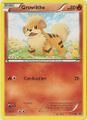 Growlithe #11