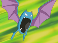 Brodie's Golbat