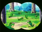 Murcott Island Caterpie.png