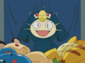 Meowth dressed as a Murkrow