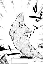 Ash Metapod EToP.png