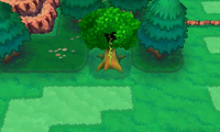 Secret Spot Route 111 5.png