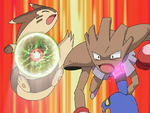 Hearthome Hitmonchan Furret.png