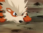 Keegan Arcanine.png