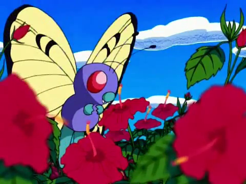 File:Shamouti Island Butterfree.png