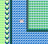 Route 21 in Pokémon Green (GBC)