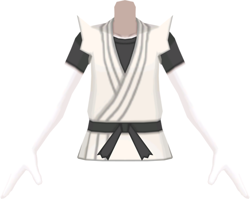 File:USUM Karate Gi Jacket m.png