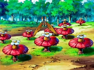 File:Pomeg flowers anime.png