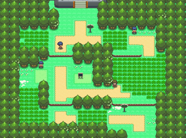 EXP. Share - Route 204, Ravaged Path, Floaroma Town, Valley Wi
