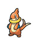 Buizel