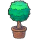 Twisted potted plant